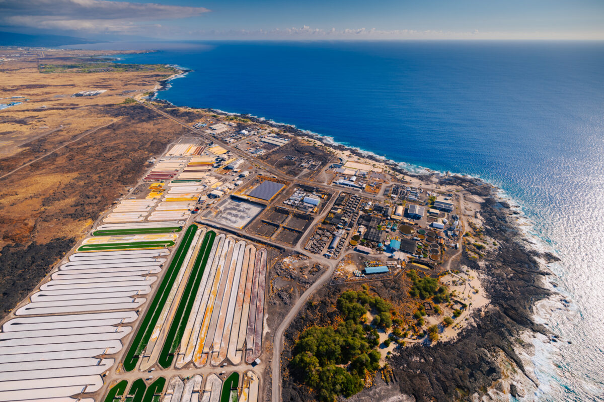 Captura advances Direct Ocean Capture commercialization efforts in Los ...